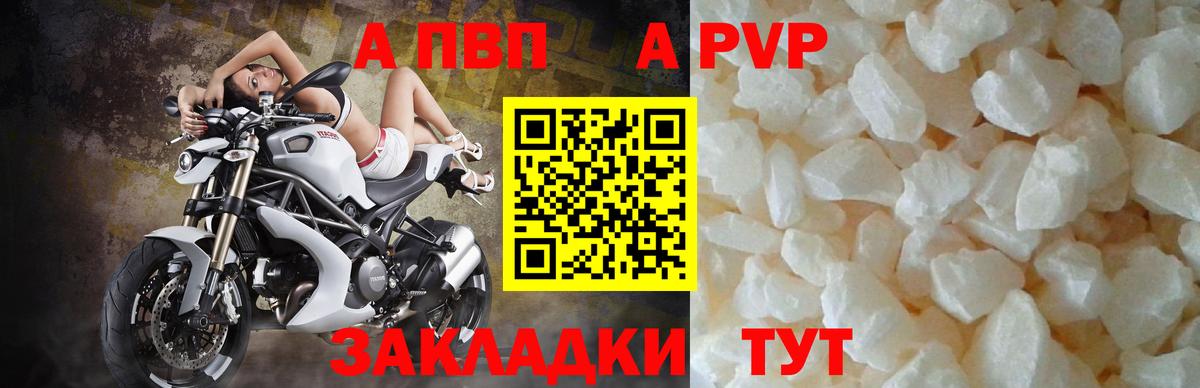 Альфа ПВП СК Бугуруслан