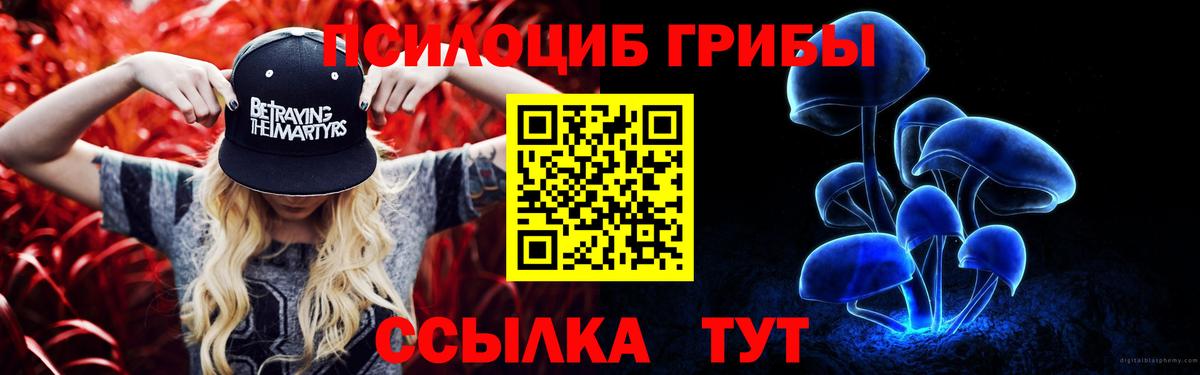 Бугуруслан  Псилоцибиновые грибы ЛСД  Вход с VPN  где купить наркоту  Псилоцибиновые грибы Psilocybine cubensis 